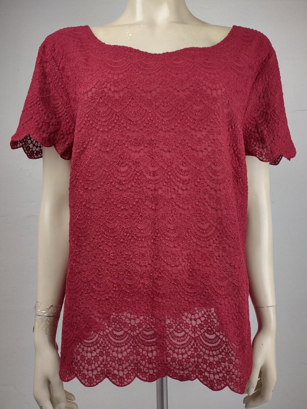 NWT Loft red semi-sheer lace scalloped hem short sleeve blouse top ladies XL